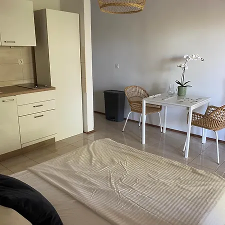 Villa Maslinica * Maslinica