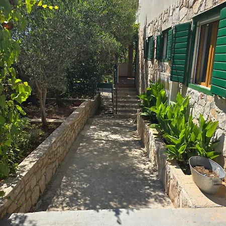 Apartmán Villa Maslinica