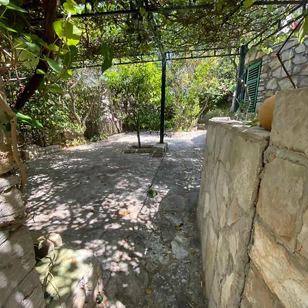 Villa Maslinica Apartmán Maslinica