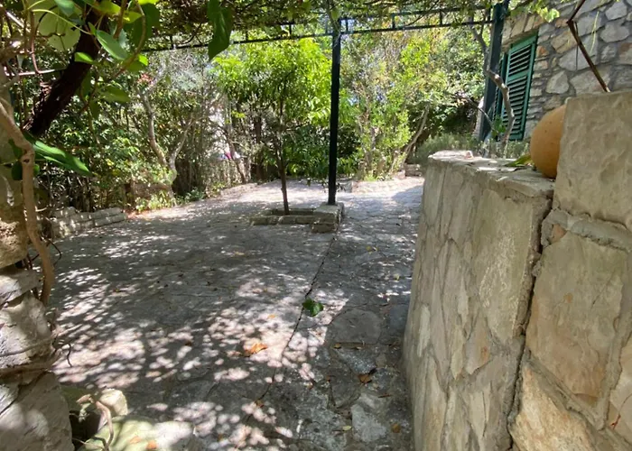 Villa Maslinica 아파트 마슬리니카
